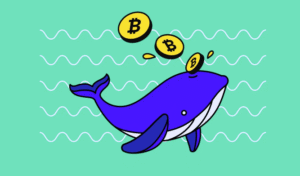 What Is a Crypto Whale in Trading?