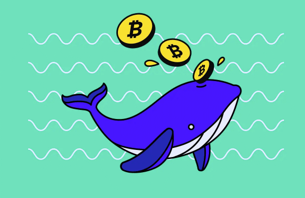 What Is a Crypto Whale in Trading?
